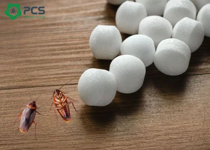 long não có đuổi được gián không